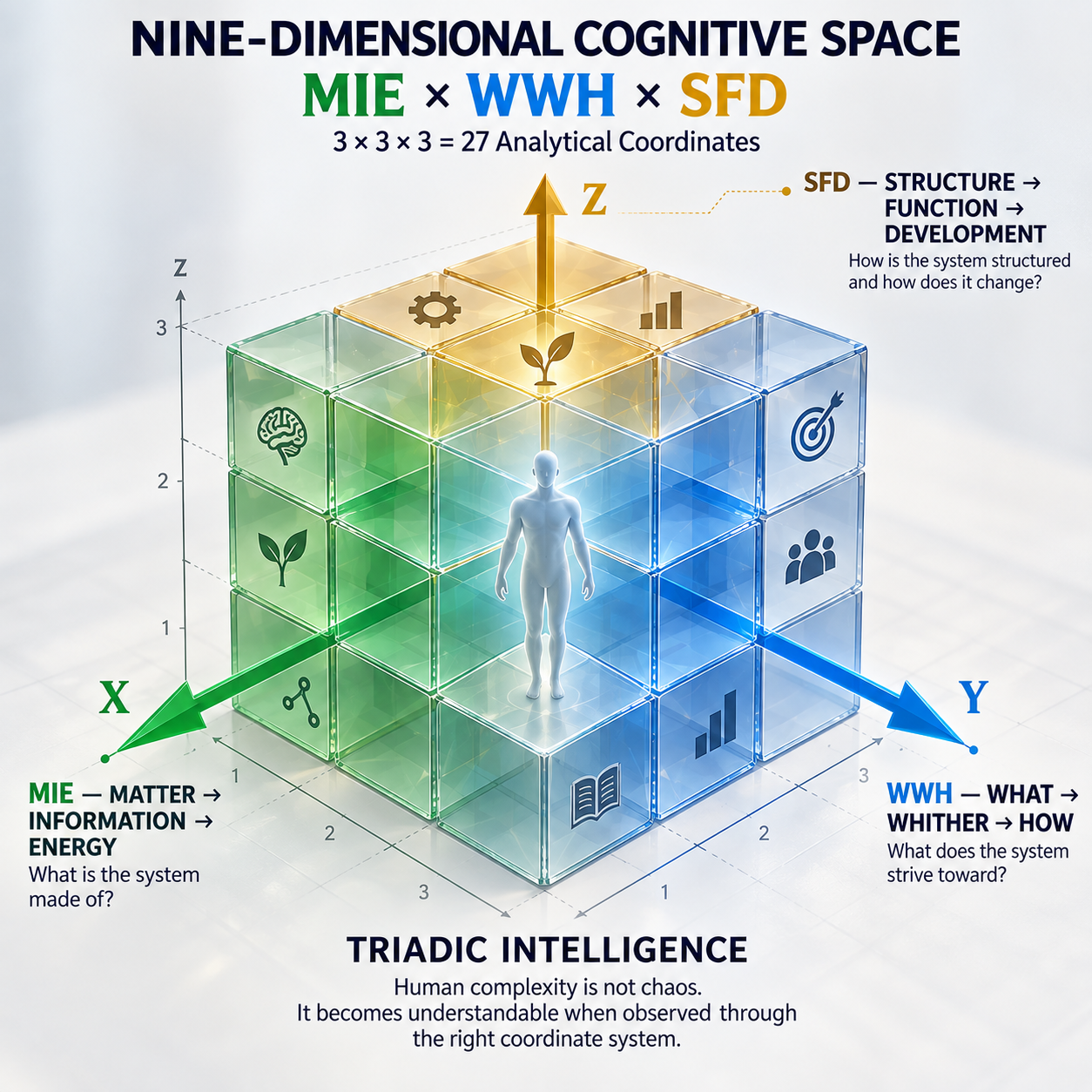The Triadic cube: Information, Matter and Energy around the person